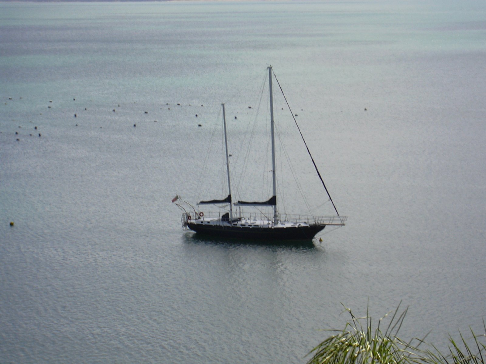 velero