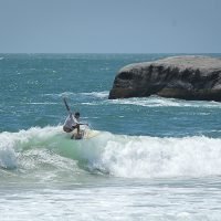 quatro ilhas